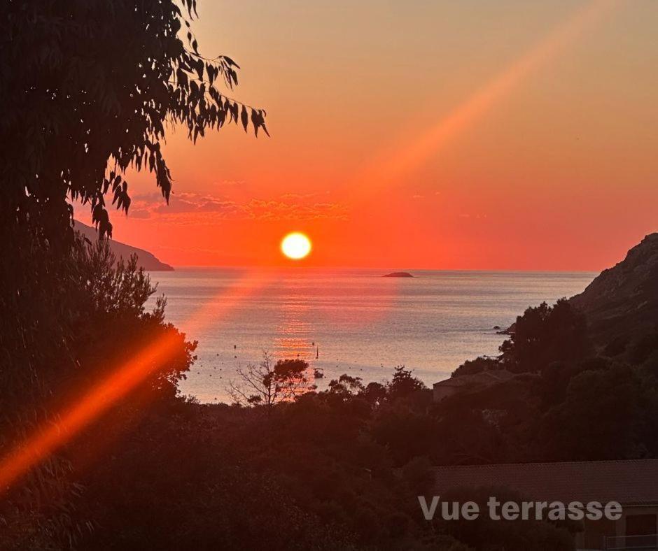 Apartamento Les Collines De Lava Appietto Habitación foto