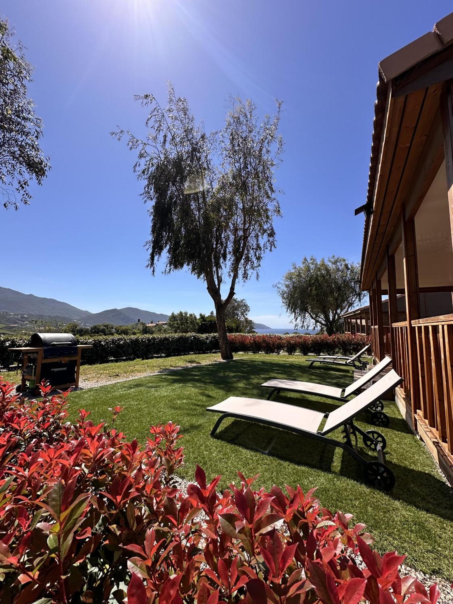 Apartamento Les Collines De Lava Appietto Habitación foto